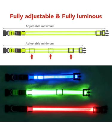 VIZPET LED Dog Collar USB Rechargeable | Waterproof & Adjustable Light Up Collar for Dogs - Green Medium 14.96-19.68 inch - Buy Online on GoSupps.com