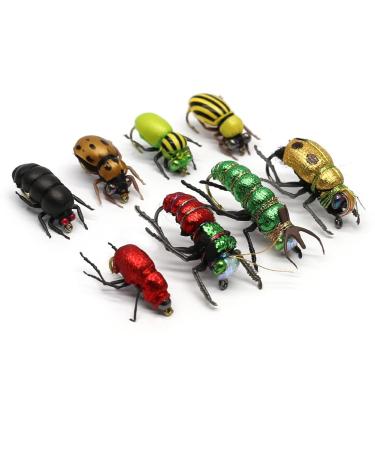 YZD Trout Fly Fishing Flies Collection Dry Wet Nymph Fly Assortment with Fly Box Flyfishing Flys Lures 12/16/18/22/36 Kits Beetle kit - Buy Online on GoSupps.com