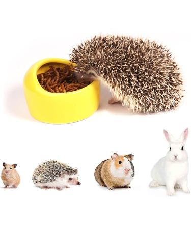 Ceramic Hamster Food Bowl DBAILY 3PCS Hamster Feeding Bowls Eating Basin Feeder Hedgehog Feeder Water Bowl Dish Holder for Guinea Pig Rodent Rat Gerbil Cavy - Buy Online on GoSupps.com