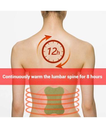 Dan&Dre 12pcs Wormwood Lumbar Sticker | Self-Heating Moxibustion Plaster | Moxa Leaf Paste for Pain Relief - Buy Online on GoSupps.com