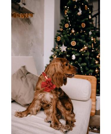 Unique Mandarin Silk Dog Collar | Durable XL Paws Design for Large Dogs | Stylish Wedding & Everyday Wear - Buy Online on GoSupps.com