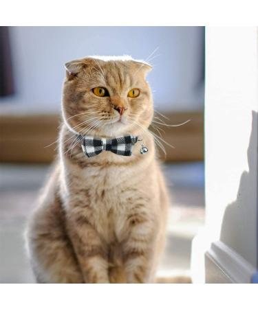 Dynmeow Plaid Pattern Cat and Dog Collar with Bowtie - Adjustable, Comfortable Boy or Girl Gift - XX-Small, Black - Buy Online on GoSupps.com