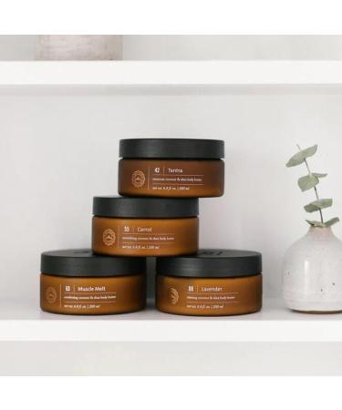 Shop Saje Muscle Melt Body Butter - Shea & Coconut Oil for All Skin Types - Moisturizing Mango & Sweet Birch - Buy Online on GoSupps.com