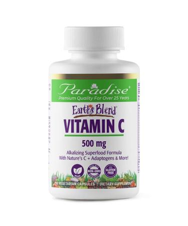 Paradise Herbs Vitamin C 90 Vegetarian Capsules