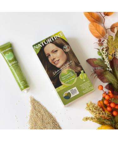 Naturtint 6GA Deep Almond Brown Hair Colour: Ammonia-Free, Grey Coverage, Plant Enriched - Buy Online on GoSupps.com
