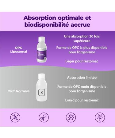  BANDINI Bandini OPC Liposomal Liquid 250ml - Grape Seed Extract 95% OPC (200mg per dose) - Optimal absorption with technology - Buy Online on GoSupps.com
