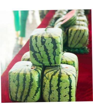 Uonlytech Watermelon Shaping Fruit Tools Pumpkin Growing Molds for Garden Vegetable Shaping Tool Watermelon Modeling Big Rod 15x15cm Transparent - Buy Online on GoSupps.com