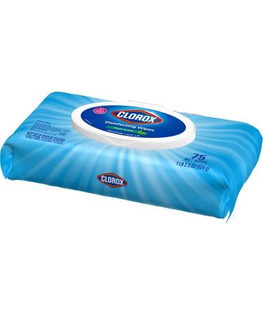 Clorox Disinfecting Wipes, Fresh Scent - 75 Count | Effective Cleaning & Germ Protection - Buy Online on GoSupps.com