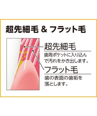 Ebisu Premium Care Compact Toothbrush Set - 3 Pack - Buy Online on GoSupps.com