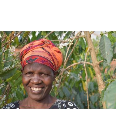 Arabica Medium Roast Coffee Beans Tanzania 250g - Buy Online on GoSupps.com