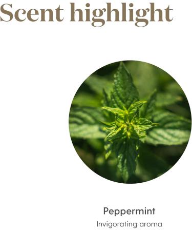 Buy Young Living Peppermint Essential Oil 15ml - Invigorating Aroma Cooling Sensation Supports Muscle Recovery & Digestive Comfort - Fast International Shipping - Buy Online on GoSupps.com