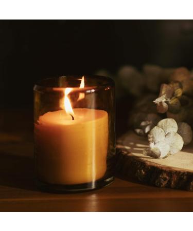 Cedarwood Nutmeg & Lavender Essential Oil Beeswax Candle | Bluecorn Beeswax Botanica | 8 oz Blown Glass Jar - International Shipping Available - Buy Online on GoSupps.com