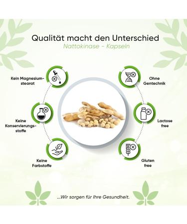 Nattokinase 240 Capsules - High-Dose 100 mg (20 000 FU/g) - 8 Month Supply - Vegan & GMO-Free - Lab-Tested & Additive-Free - Buy Online on GoSupps.com