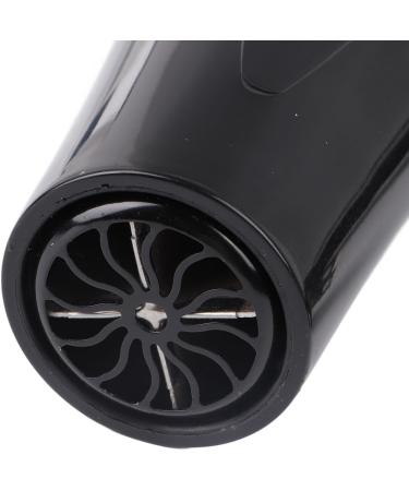 Ionic Hair Dryer Powerful Quick Drying Low Noise Black US Plug 110V for Home Use - Buy Online on GoSupps.com