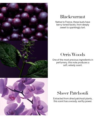 Victoria's Secret Very Sexy Orchid Fine Fragrance 8.4oz Mist - Buy Online on GoSupps.com