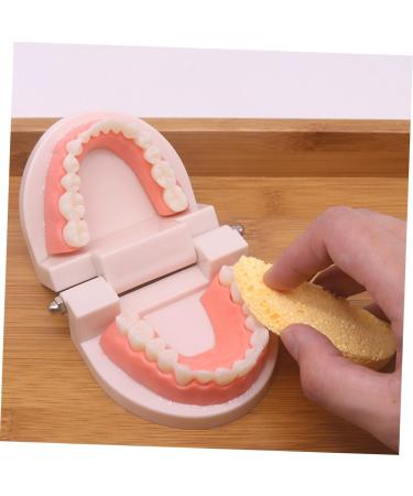 Shop Minkissy 3 Sets Early Dental Education Toys - Preschool Toiletries Puzzle & Abs Reusable | International Shipping Available - Buy Online on GoSupps.com