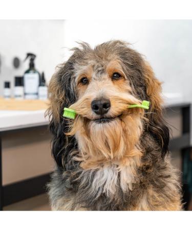 Kooa Dental Care Set - Silicone Toothbrush Fingerling & Vegan Chicken Flavor Tooth Gel (50ml) - Gentle Cleaning for All Ages - Buy Online on GoSupps.com