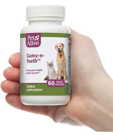 PetAlive Gumz-n-Teeth Herbal Supplement for Healthy Teeth & Gums in Cats & Dogs - 60 Veggie Caps - Buy Online on GoSupps.com