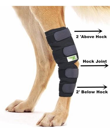 RockPet Dog Hind Leg Joint Brace Therapeutic Hip Bandage for Canines (L) - Buy Online on GoSupps.com