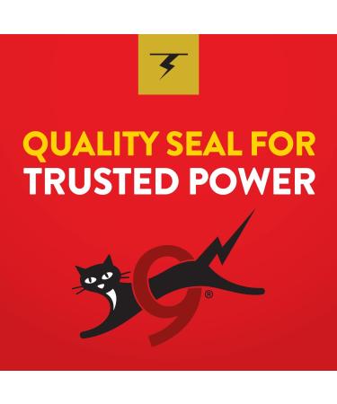 Buy Energizer D 2-Count Eveready Alkaline Battery | Fast International Shipping - Buy Online on GoSupps.com