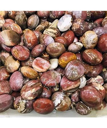 1pc Natural red Silicified Wood Quartz Crystal Palm Size Tumbled Stone Crafts for Decorative Gift Natural Stones and Minerals - Buy Online on GoSupps.com