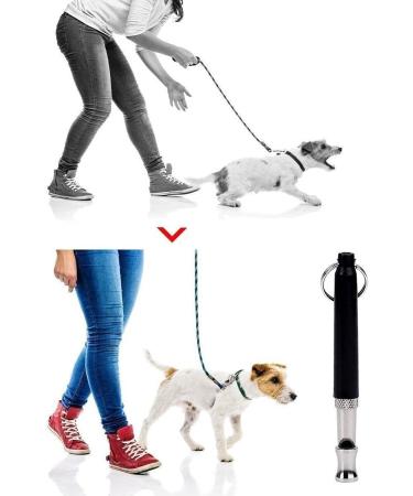 Whistle High Frequency Recall Dog Training Cat dressage education Whistle Nice - Buy Online on GoSupps.com