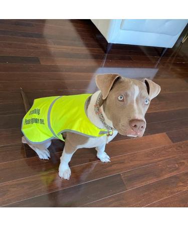 Flexi-Print Hi Vis Reflective Dog Coat - Personalized Service Dog Vest for Nervous & Reactive Dogs | Yellow Large - Buy Online on GoSupps.com