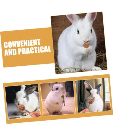 NOLITOY 12pcs Pet Rabbit Snacks Chinchilla Treats Teeth Grinding Sticks Pet Chewing Playthings Animal Petal - Buy Online on GoSupps.com
