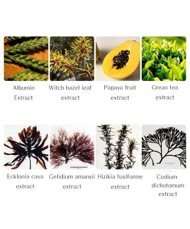 RiRe Women's Skinny Blackhead Closing Serum - 1.35 oz | Best Blackhead Treatment for Clear Skin - Buy Online on GoSupps.com