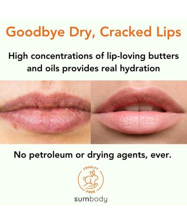 Organic Intensive 24/7 Lip Treatment | Hydrate Plump & Repair Dry Chapped Lips | Moisturizing Lip Sleeping Mask | Best Gifts for Women - Buy Online on GoSupps.com