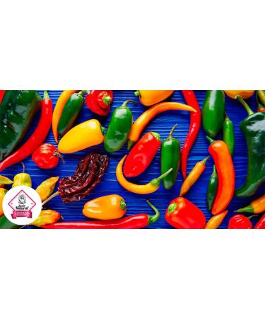 Mexican Guajillo Chili Flakes 13.40oz - Bulk Seasonings in Reusable Shaker Jar - Buy Online on GoSupps.com