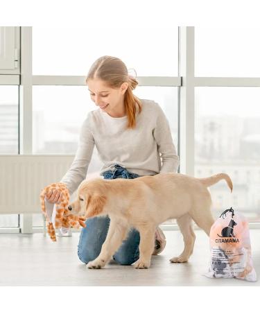 Shop Citamama Squeaky Dog Toy Set - 5 Plush Interactive Training Toys for Small to Medium Dogs | No Fill Eco-Friendly Pet Gear - Buy Online on GoSupps.com