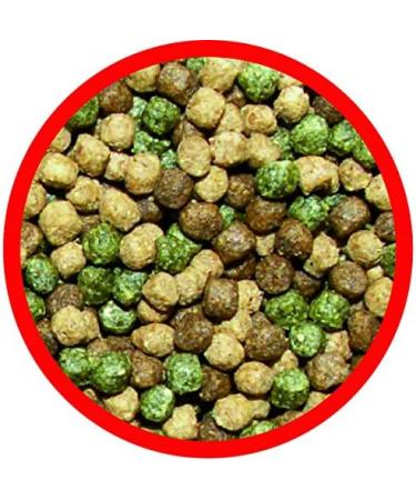 Al-Ko-Te 3-Anniversary Koi Feed Bundle - Premium 3mm & 6mm Floating Pellets for Spring to Autumn - 3kg Pack - Optimize Koi Growth & Health - Buy Online on GoSupps.com