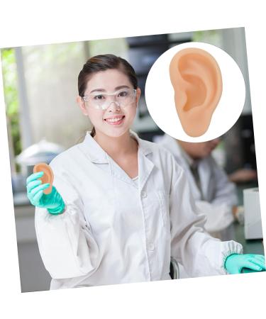 Silicone Ear Model - Specialty Tools for Ear Care - 3D Fake Human Ear Presentation Model - Buy Online on GoSupps.com