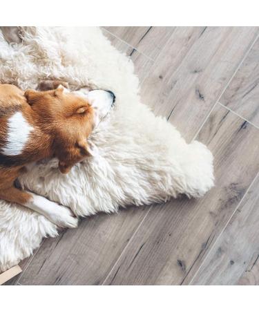 LinSheen Raw Linseed Oil Wood Treatment Conditioner - Rejuvenate, Restore & Condition Wood Furniture and Cutting Boards - 4 oz Bottle - Buy Online on GoSupps.com