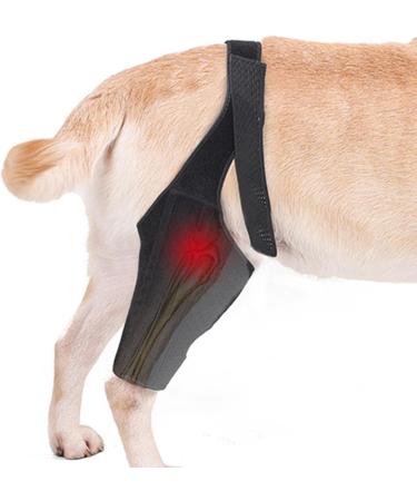 Dog Leg Support Brace - Dog Hip Brace Protector Pets Joint Brace Support | Soft Neoprene Dog Hip Dysplasia Brace High Elasticity Breathable Back Leg Protector for Recovery Period Wounds Black Black M - Buy Online on GoSupps.com