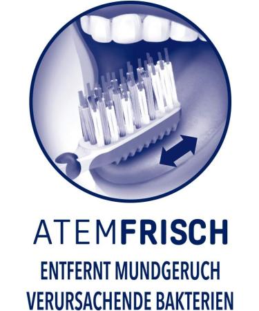 Dr.BEST Breath Fresh Toothbrush Medium (Pack of 3) | Removes Bad Breath Bacteria | International Shipping Available - Buy Online on GoSupps.com