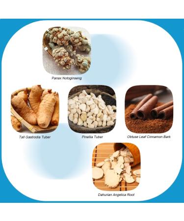 Ship-EEZ Sea Sickness Patch for Cruisers | Effective Relief for Nautical Adventures - Buy Online on GoSupps.com