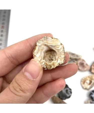 Natural Crystal Rough Natural Crystal 3pc Natural Brazil Crystal Geode Cluster for Stones - Buy Online on GoSupps.com