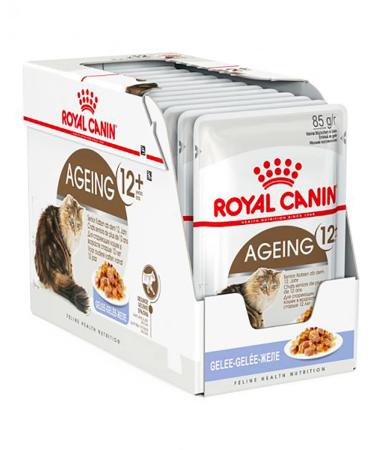 Royal Canin Cat Food Health Nutrition Ageing +12 in Jelly 12 x85g