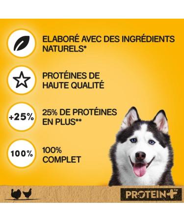 Pedigree Protein + Dog Meals - Turkey and Chicken Terrine Box for Adult Dogs - 800 g Pack of 12 (800 g x 12) - Buy Online on GoSupps.com