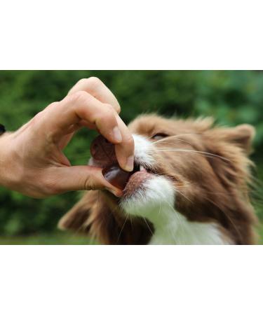 Geloren Small Dog 180 g Complementary mixture of jelly beans for small dogs for joints 60 pieces - Buy Online on GoSupps.com