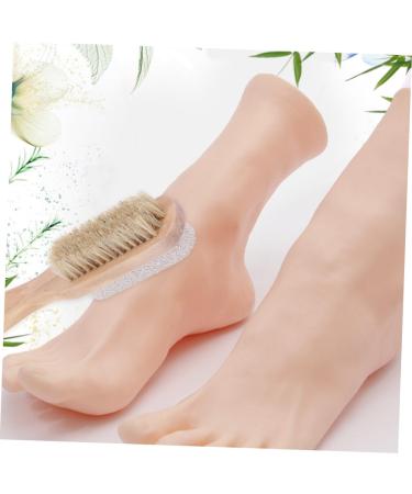 SKISUNO 1pc Scraping Plate Wood Tools Foot Scrubber Stone Foot Brush Nail Cleaning Brush Pumice Stone Toilet Natural Bristle Brush Foot Pumice Stone Foot Exfoliator Stone Small Brush Feet - Buy Online on GoSupps.com