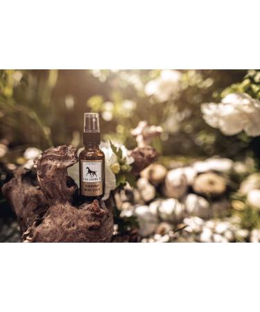 Natural Silver Spray for Dogs - Aloe Vera & Hyaluron | Lila Loves IT 50ml - Cleanses & Regenerates - Buy Online on GoSupps.com