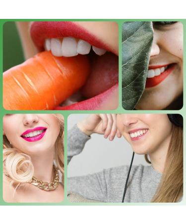 100 Pcs Disposable Dental Floss Picks - Mint Flavor - Portable Interdental Floss Sticks for Effective Tooth Cleaning at Home or On-the-Go - Buy Online on GoSupps.com