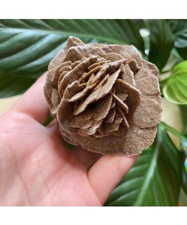Natural Crystal Rough Home Natural Desert Rose Raw Stone Crystal Home Office Gift (Size : 160-200g) - Buy Online on GoSupps.com