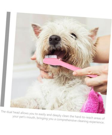 Levemolo 12pcs Double Head Dog Toothbrush Dog Oral Cleaning Toothbrush Cat Toothbrush and Toothpaste Pet Pp - Buy Online on GoSupps.com