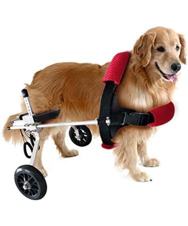 Dog Wheelchair Aluminum Alloy Pet Wheelchair 2-Wheel Full Support Pet Rehabilitation Wheelchair Pet Wheelchair Cart for Hind Leg Rehabilitation Disabled Dog Medium - Buy Online on GoSupps.com