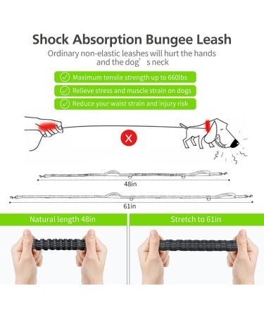 Hands Free Dog Lead for Running Walking Training Hiking Dual-Handle Shock Absorbing Reflective Bungee Adjustable Waist Belt and Pouch Ideal for Medium to Large Dogs(Black/Green) - Buy Online on GoSupps.com