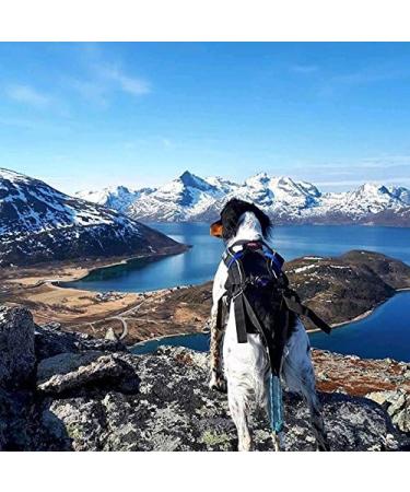 Trekking Belt by Nonstop | Running & Jogging Belt for Dogs (M Blue) - Ideal Hiking Accessory - Buy Online on GoSupps.com